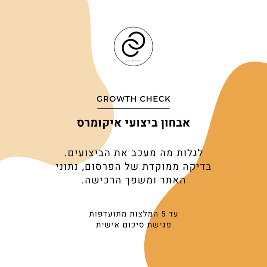 אבחון ביצועי איקומרס
