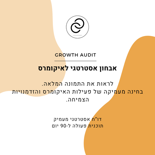 אבחון אסטרטגי לאיקומרס